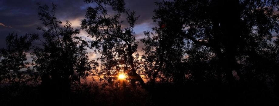 Tramonto